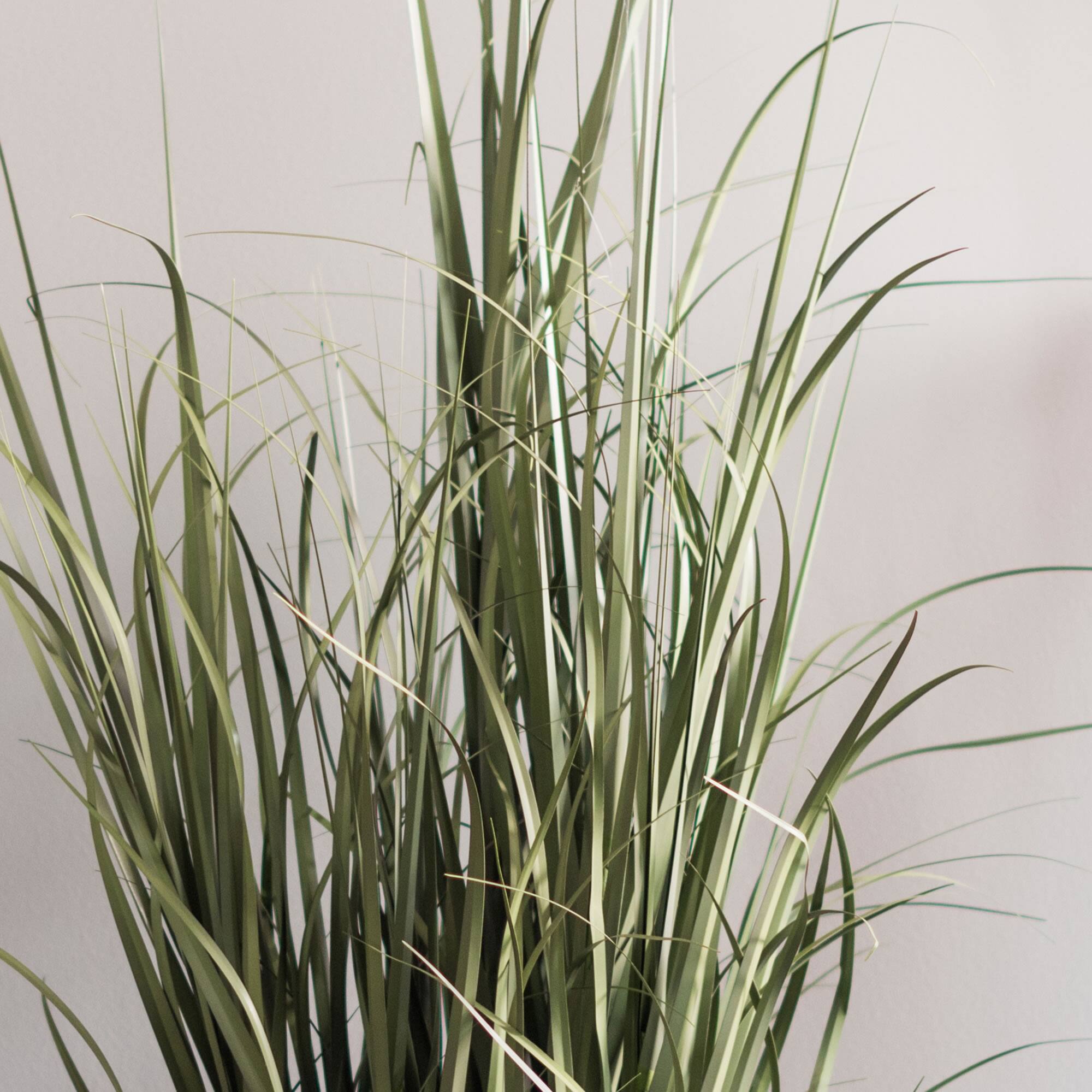 Artificial Green Potted Ryegrass